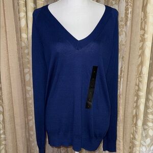 Banana Republic Deep Blue V-Neck Sweater